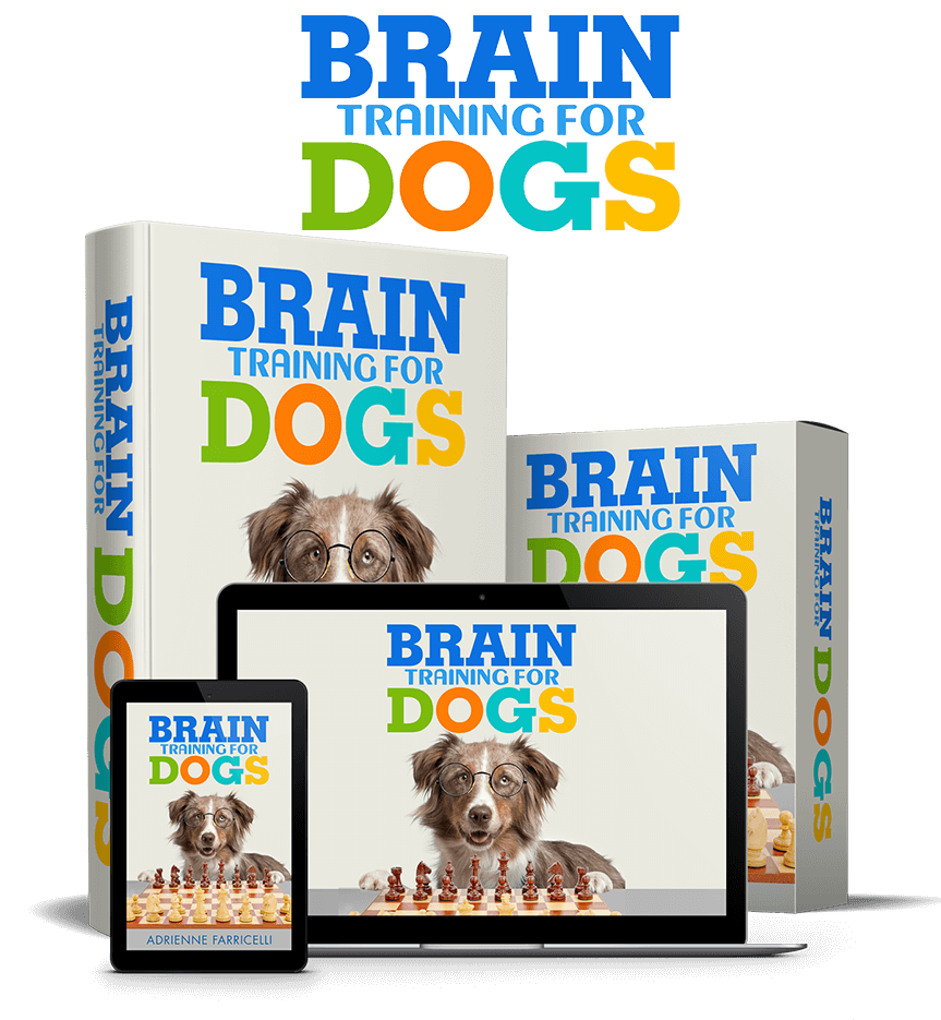 Brain Training for Dogs complete training program digital product mockup