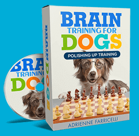 Brain Training for Dogs Obedience 101 Training